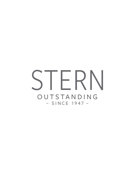 logo stern