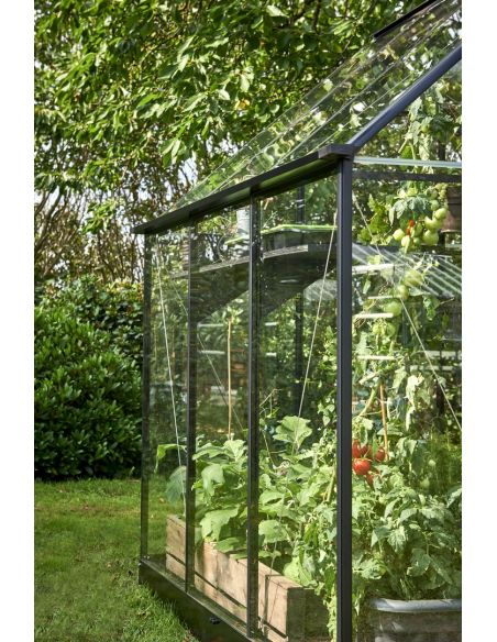 HALLS - Serre de jardin Qube 3.9 m² verre trempé de 3 mm