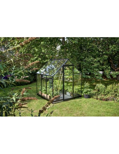 HALLS - Serre de jardin Qube 3.9 m² verre trempé de 3 mm