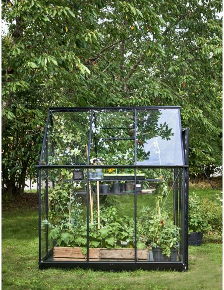 HALLS - Serre de jardin Qube 3.9 m² verre trempé de 3 mm