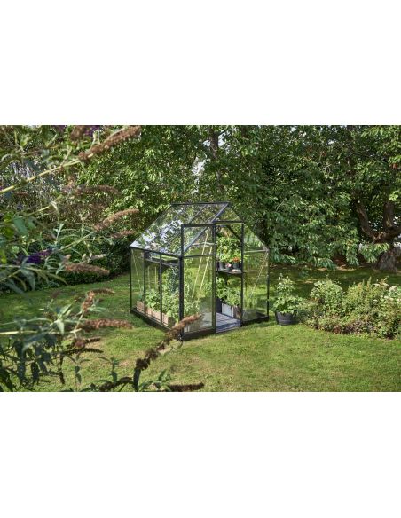 HALLS - Serre de jardin Qube 3.9 m² verre trempé de 3 mm