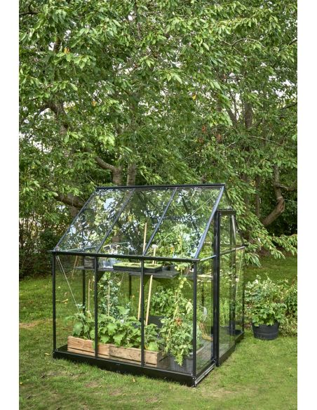 HALLS - Serre de jardin Qube 3.9 m² verre trempé de 3 mm