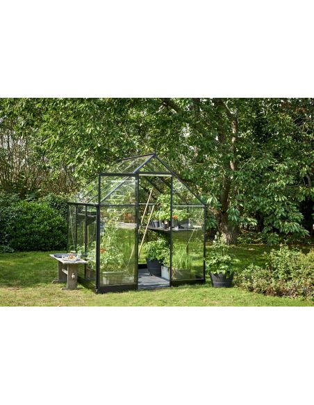 HALLS - Serre de jardin Qube 3.9 m² verre trempé de 3 mm