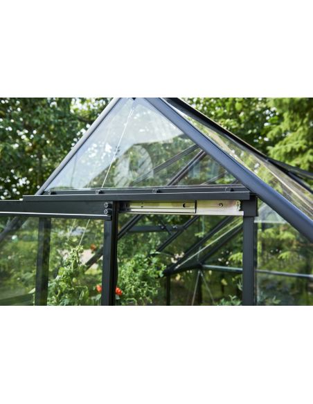 HALLS - Serre de jardin Qube 3.9 m² verre trempé de 3 mm