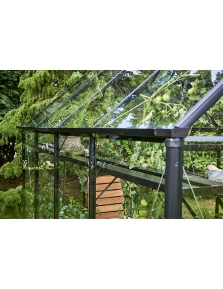 HALLS - Serre de jardin Qube 3.9 m² verre trempé de 3 mm