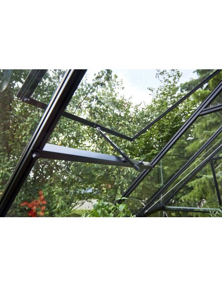 HALLS - Serre de jardin Qube 3.9 m² verre trempé de 3 mm