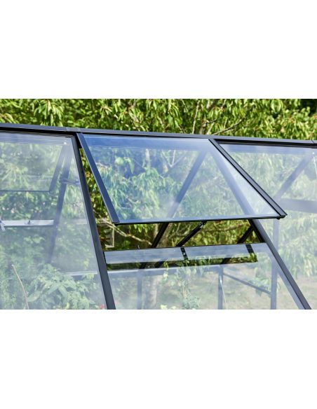 HALLS - Serre de jardin Qube 3.9 m² verre trempé de 3 mm