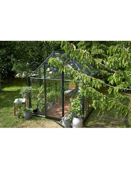 HALLS - Serre de jardin Qube 5.1 m² verre trempé de 3 mm