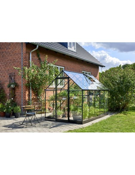 HALLS - Serre de jardin Qube 6.4 m² verre trempé de 3 mm