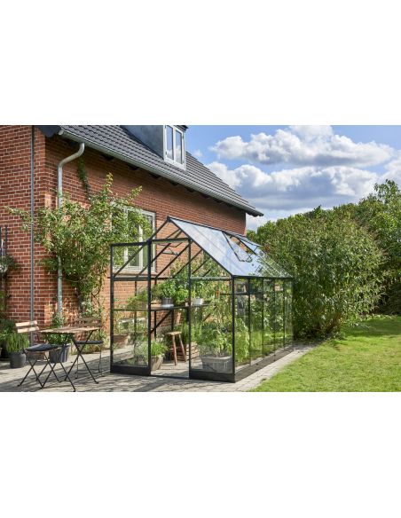 HALLS - Serre de jardin Qube 6.4 m² verre trempé de 3 mm