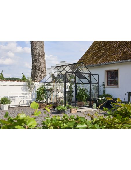 HALLS - Serre de jardin Qube 6.6 m² verre trempé de 3 mm