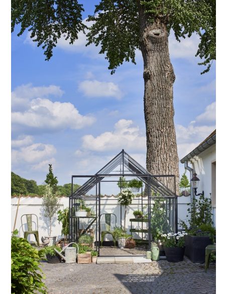 HALLS - Serre de jardin Qube 6.6 m² verre trempé de 3 mm