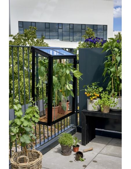 JULIANA - Serre de jardin Urban balcony 0.16 m² verre trempé 4 mm - Anthracite