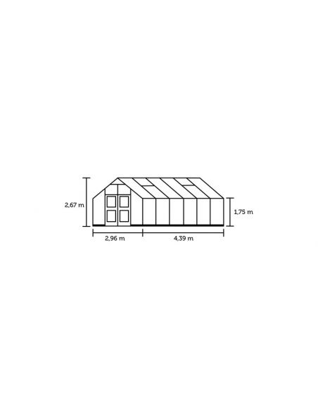 JULIANA - Serre Premium en polycarbonate 10 mm 13 m² - Aluminium naturel