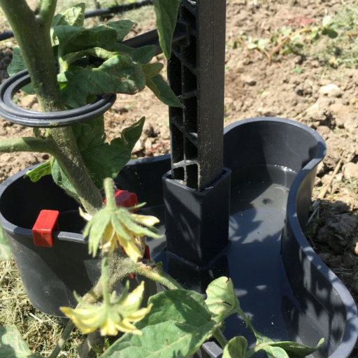 Réservoir de 2 litres pour tuteur avec système de goutte à goutte