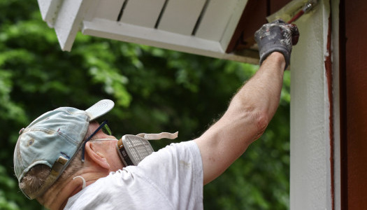 Protéger et entretenir votre abri ou structure en bois : Conseils et Solutions